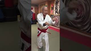Can you guess which Kata this is from? #shotokankarate #karatedo #karate #kata #okuyamakaratedo