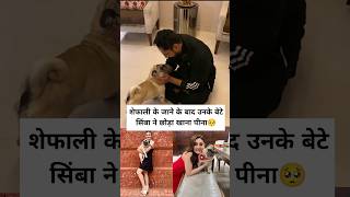 Shefali jariwala pet dog Simba emotional for shefali