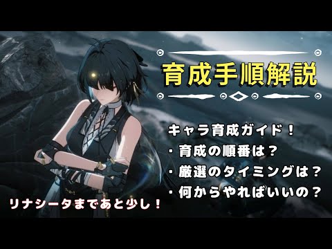 【 #鳴潮 / #鳴潮RALLY 】育成の順番は？厳選はいつから？キャラ育成解説！/ 新規・復帰勢向け