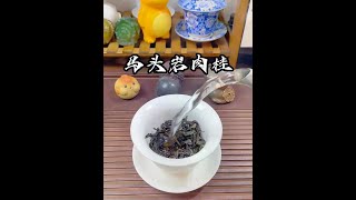 肉桂的泡法，你们学会了吗？#马头岩肉桂 #召唤茶友 #每日一茶 #今天你喝茶了吗 #盖碗泡茶
