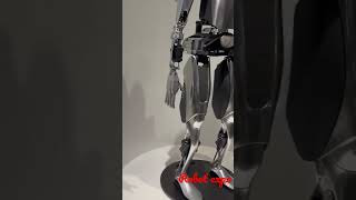 Robot expo