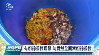 防非洲豬瘟暫停廚餘養豬 豬農籲：應推動廚餘「飼料化」｜20210907 公視晚間新聞
