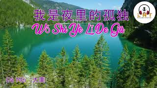 我是夜里的孤独 Wǒ Shì Yè Lǐ De Gū DU   --    Dà Měi   大美 (  VOCAL )