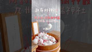 福岡·和布刈神社⛩️♡門司港必訪絕美海景+「釣河豚」的超療癒神社♡#福岡旅行 #福岡自由行 #福岡 #門司港 #門司港駅 #fukuokatrip #福岡景點 #九州観光 #北九州 #北九州観光