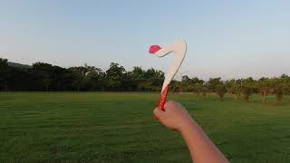 Boomerang Mantis 迴力鏢螳螂