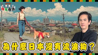 日本流浪狗都去哪了？從野狗消失到動漫《殿下與狗》超冷門狗文化全解析｜蔡桑神鬼夜話 EP64