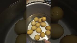 Egg Float Test