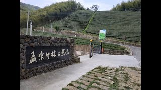 鹿谷小半天 林爽文古戰場