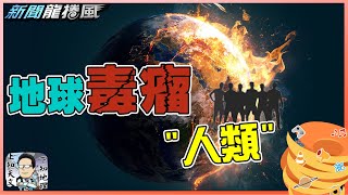 越來越熱!全球暖化將重演2.5億年前地球大滅絕?