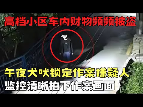 高档小区车内财物为何频频被盗? 午夜的犬吠锁定嫌疑人, 监控拍下作案画面!｜天网恢恢