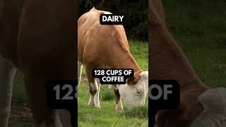 Cows are mystical animals :)  #fact #facts #farmer #farmers #caws #caw