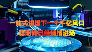 【最强投资机会】半导体材料市场即将爆发！10分钟读懂千亿级蓝海市场，从上游布局到下游应用，专业解析国产替代的黄金赛道，错过再等十年！