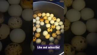 Eggs Good To Eat? Float Test Them!