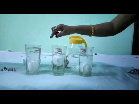 SCIENCE EXPERIMENT - FLOATING OF AN EGG
