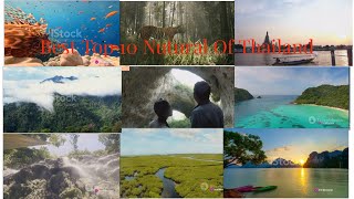 Best Top 10 About Nutural Of Thailand