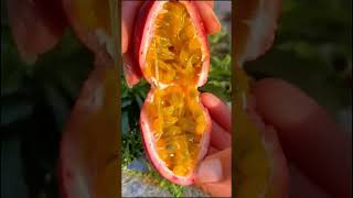The fruits of naturen #shorts #farming #farm #food #finefood #enjoy #nature  #fruit #funny #enjoy
