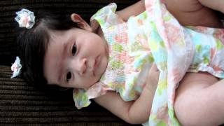 Lilly Bear 2