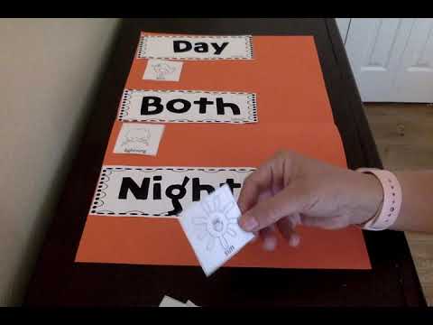 Day Night Both Sort