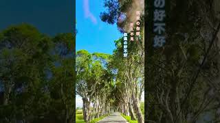 【親愛你啊！好久不見】#大自然#心霊#風景#好久不見#親愛的#放鬆#舒壓#台灣
