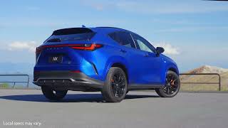 Design, Power, and Pure Presence | LEXUS NX