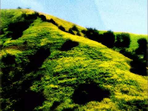 HILLS05032021 #shorts