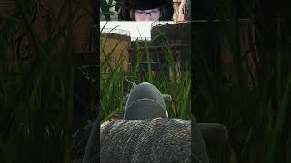 Bros an opp #shorts #escapefromtarkov #tarkov #eft #gaming #stankrat