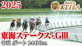 【東海ステークス・GⅢ】東海S 中京 ダート 1400m 2025 レース  【みんなのKEIBA】