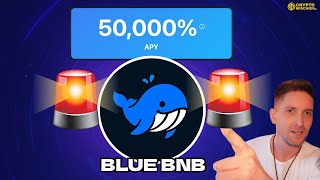 DeFi Is Back! BlueBNB Offers 50,000% APY on BNB Chain