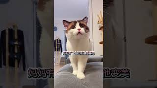 猫:我谢谢你...#萌宠出道计划#创作热词#萌宠#猫