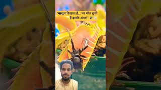 य हे खतर नाक पेड़ #shorts​ #shortvideo​ #shortsfeed​ #facts​ #factvideo​ #amazingfacts​ #facts