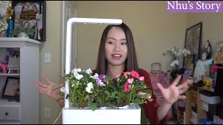 Smart Garden: Click and Grow