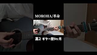 革命弾いてみた#fingerstyleguitar #アコギ  #moroha#高校生　#革命　#acousticguitar #もろは#革命ギター#shorts #ギター
