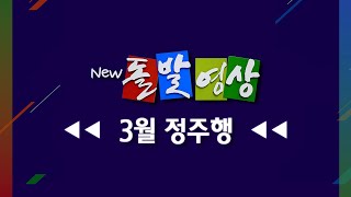 [돌발영상] 2025년 3월 정주행/ YTN