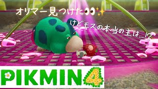 【ピクミン4】エリア100％とオリマーの物語やるポポロ☆