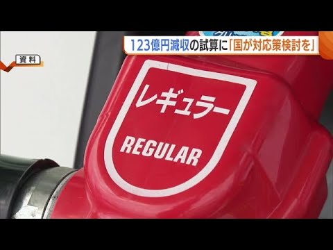 「とても飲み込める金額では…」ガソリン暫定税率廃止で新潟県は123億円の減収試算　花角知事は減収分の補填策を国に求める (25/04/30 19:00)