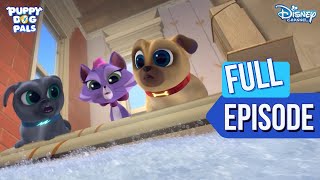 Water Park In A Dog House? | Puppy Dog Pals  | S1 EP 01 | @disneyindia
