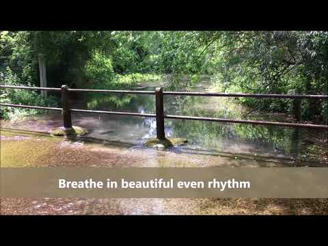 Finding Flow