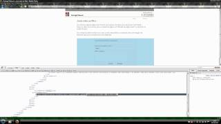 XSS Attack