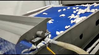 CUTTLEFISH TRAIL RUN - RAMTECH REFRIGERATION PVT LTD
