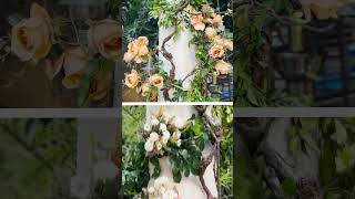 Turning Your Dream Moment Into an Unforgettable Ceremony✨ #aestheticevents #eventplanner