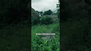 中国最后一个原始部落 云南沧源佤族自治县翁丁村 #旅行 #大美中国