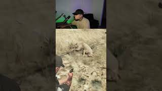 Cat almost got me #gaming #gamer #gta #lspdfr #fivem