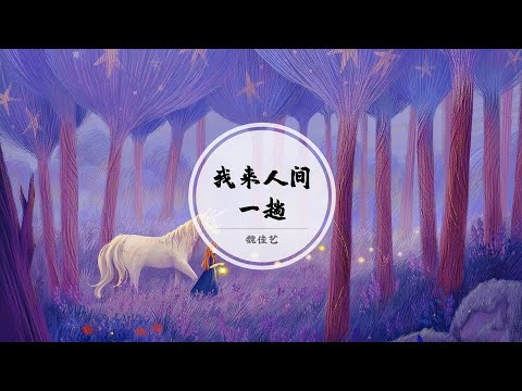 【我来人间一趟】也曾年少轻狂 怎奈世事无常终难如愿以偿 @ 魏佳艺