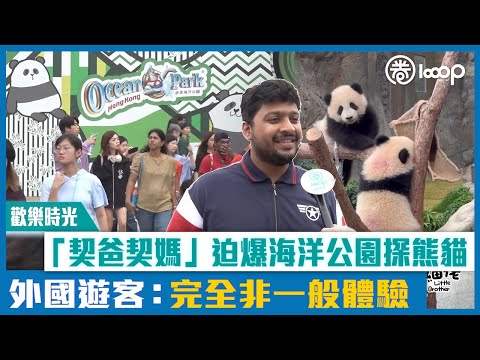 【短片】【歡樂時光】「契爸契媽」迫爆海洋公園探熊貓  外國遊客：完全非一般體驗
