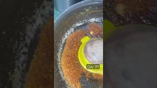 Day 39 #bollywood #hindisong #bollywoodsongs #entertainment #lifeisbutadream #dailyvideo