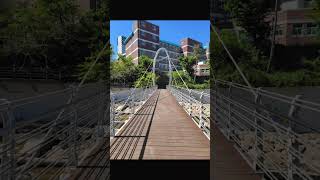 대천천~화명생태공원 트래킹_#대천천 #화명생태공원 #트래킹 #왜가리 #낙동강 #튤립 #철쭉
