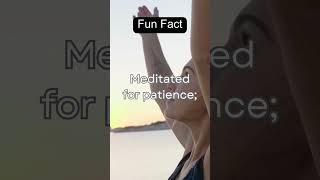 Patience Meditation vs  Wi-Fi Woes A Cosmic Irony Tale #zenvibes #funnyfacts #calmmusic