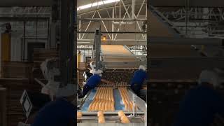 Así se hacen las galletas Marías #méxico #galletas