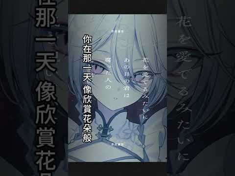 ウキヨバナレディー (中日歌詞) #好聽的歌曲 #好聽音樂 #音樂 #歌曲 #日文歌