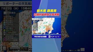 【雨情報】栃木県 群馬県に『記録的短時間大雨情報 』発表 #通勤タイパ #天気  #news